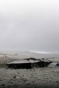 Постер фильма «Summer Pasture (2010)» — (3 из 3)