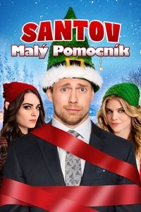 Santa's Little Helper poster