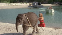 Flipper and the Elephant (2)