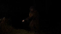 «Снежный человек (2015)» — обои к фильму #1