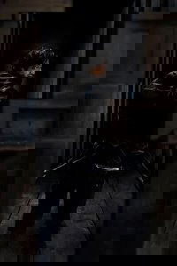 movie-images