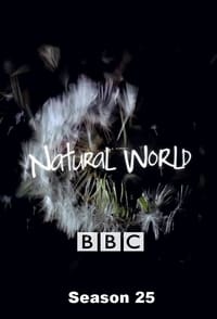 Watch Natural World - Season 25 123Movies