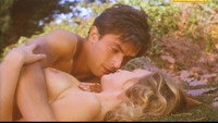 Обои к фильму «Чайки (1991)» — (15 из 17)