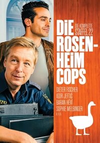 Season 22 Poster