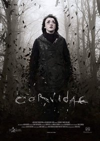 Poster de Corvidae