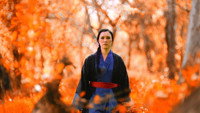 «Immortal Fist: The Legend of Wing Chun (2017)» — обои к фильму #1