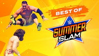 The Best of SummerSlam