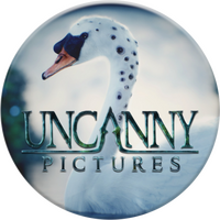 Uncanny Pictures