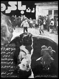 زن باکره (1973)