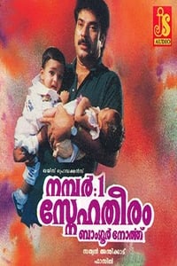 No: 1 Snehatheeram Banglore North - 1995