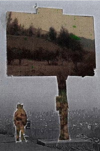 There's a Signal From the Noise, but There's no Noise