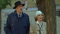 «Лошадь во дворе, шеф! (1988)» — обои к фильму #1