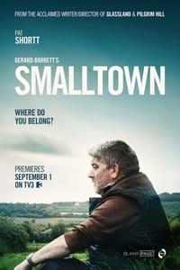 copertina serie tv Smalltown 2016