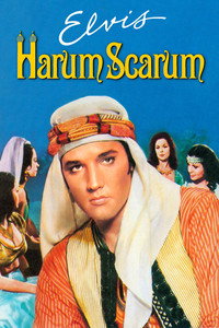 Постер фильма «Каникулы в гареме (1965)» — (10 из 18)