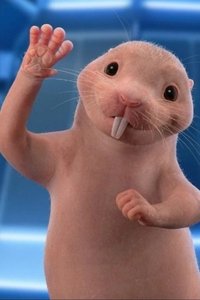 movie-images