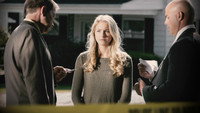«American Nightmare (2019)» — обои к сериалу #1
