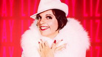 «Liza Minnelli, la dernière héritière d'Hollywood (2025)» — обои к фильму #1