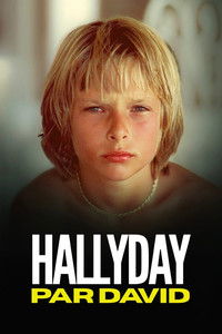Poster de Hallyday par David