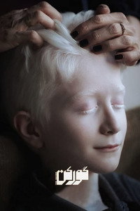 Poster de گورکن