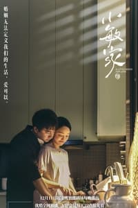 Poster de 小敏家