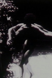 Постер фильма «Firefly (1974)» — (1 из 2)