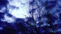 «Compline (2009)» — обои к фильму #3
