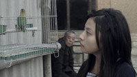 «Здесь, тогда (2012)» — обои к фильму #1