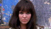 «Сделано в США (1966)» — обои к фильму #4