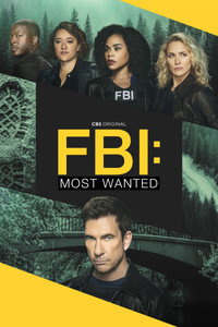 Постер сериала «ФБР: Самые разыскиваемые преступники (2020-2025)» — (9 из 71)