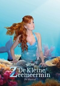Poster de De Kleine Zeemeermin De Musical