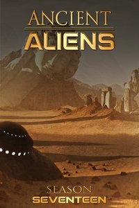 Season 17 Poster