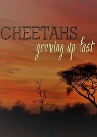 Poster de Cheetahs: Growing Up Fast