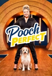 copertina serie tv Pooch+Perfect 2021