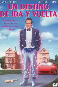 Poster de Encantado Sr. Destino