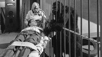 «The Strange Case of Doctor Rx (1942)» — обои к фильму #1
