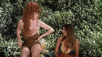 «Female Chauvinists (1976)» — обои к фильму #1