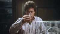 «Парень-невидимка (1988)» — обои к фильму #1