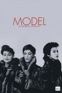 Model (1981)