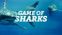 Game of Sharks