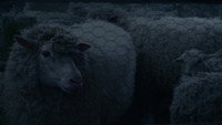 Обои к фильму «Думаю, как всё закончить (2020)» — (19 из 57)