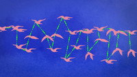 Are we more intelligent in swarms?