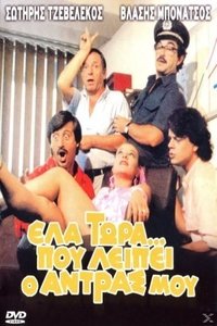 Έλα Τώρα που Λείπει ο Άντρας μου (1986)