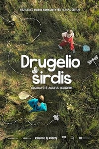 Drugelio širdis