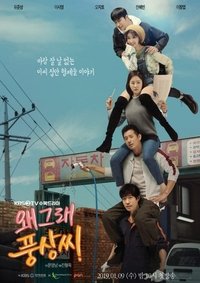 왜그래 풍상씨 (2019)