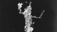 Обои к фильму «13 призраков (1960)» — (15 из 29)