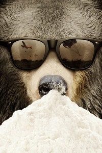 Постер фильма «Cocaine Bear: The True Story (2023)» — (1 из 5)