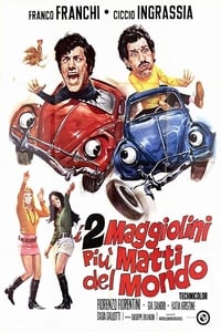 Poster de I due maggiolini più matti del mondo