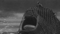 The Whale God
