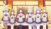 «Кошачий рай (2020)» — обои к аниме #3