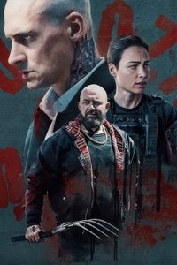 Poster de Druga Furioza